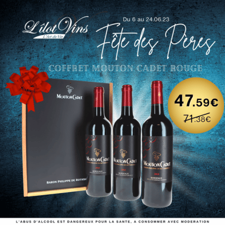 Cadeau fêtes des pères coffret vin